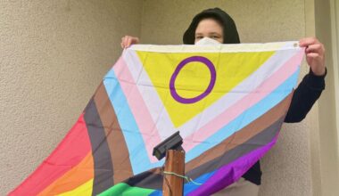 Dortmund: Regenbogenfahne in Aplerbeck gestohlen