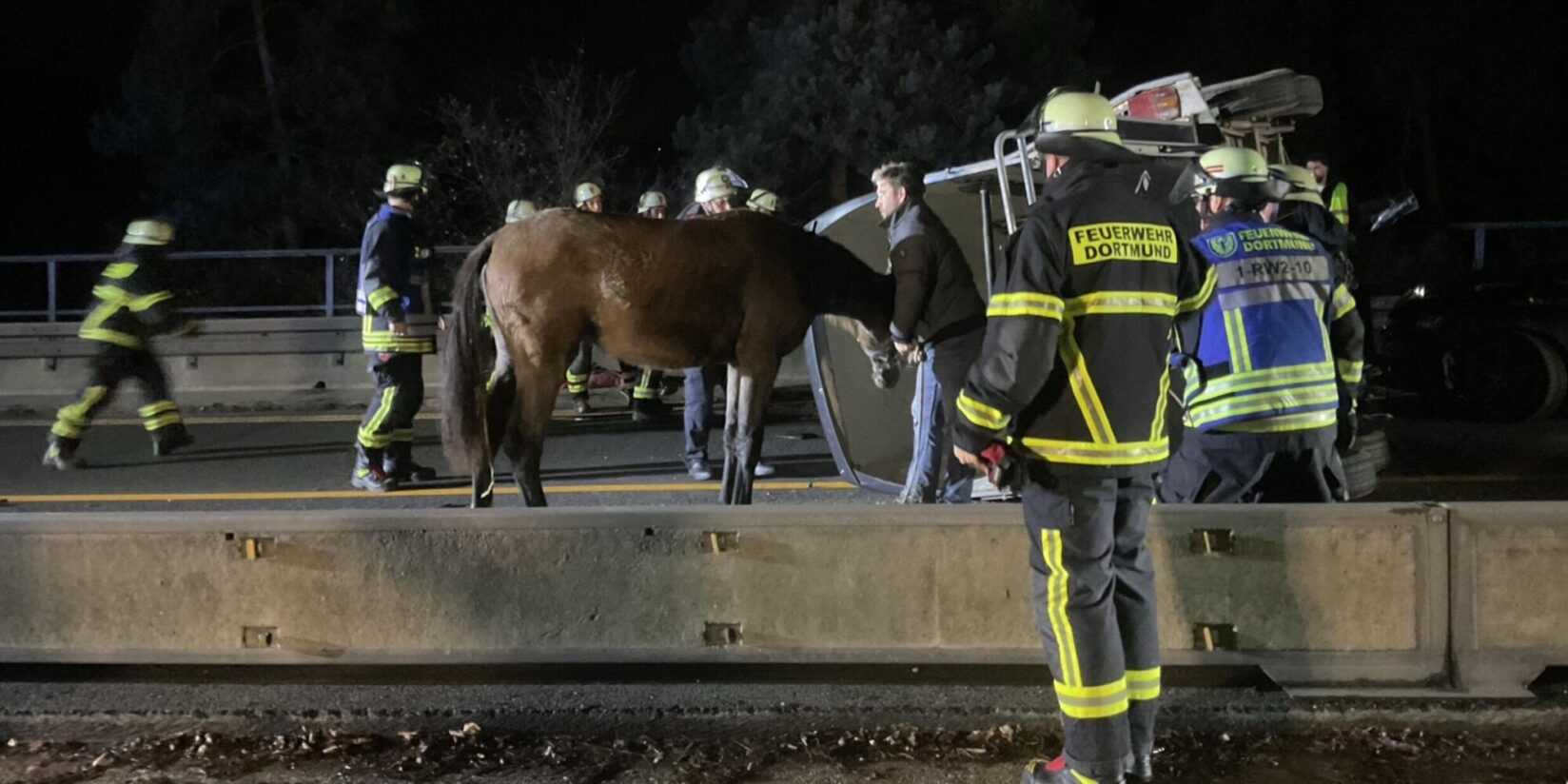 Pferdeanhänger kippt um, 5 Verletzte
