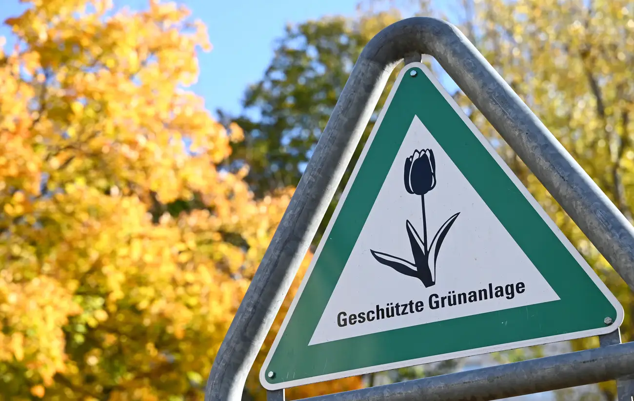 Berlin will mit Bundes-Sondervermögen eine Million Bäume pflanzen