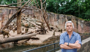 Drohungen nach Tötung von Pavianen in Nürnberg: Mehr als 20 Verdächtige ermittelt - Bayern