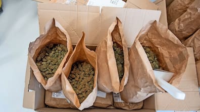 Bei Durchsuchungen im Rahmen der FBI-Operation Trojanerschild im Jahr 2021 wurden 22 Tonnen Cannabis und Cannabisharz beschlagnahmt (Symbolbild).