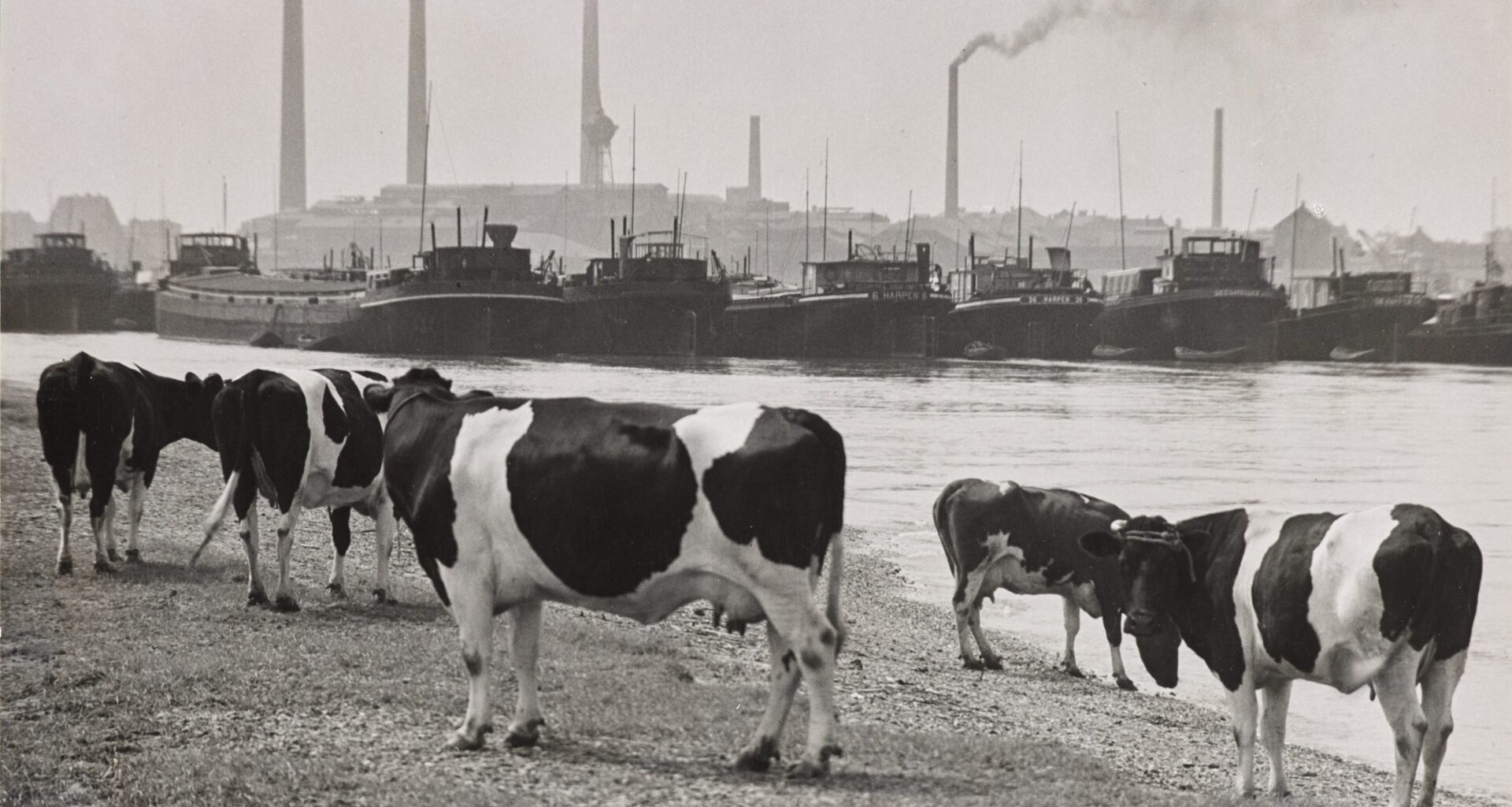 „Schöne neue Arbeitswelt“ im LVR-Landesmuseum Bonn