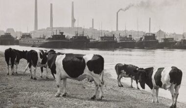 „Schöne neue Arbeitswelt“ im LVR-Landesmuseum Bonn