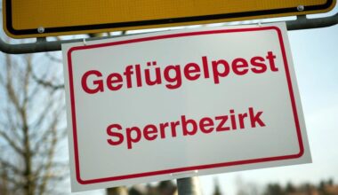 Vogelgrippe erreicht Stadtgebiet Augsburg