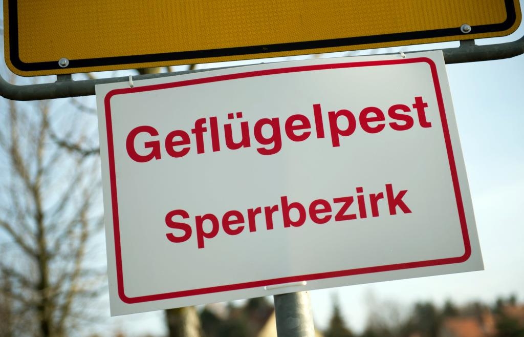 Vogelgrippe erreicht Stadtgebiet Augsburg