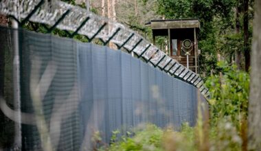 Boden bebt, Scheiben klirren: Sprengung erschüttert Berlins Südwesten | Regional