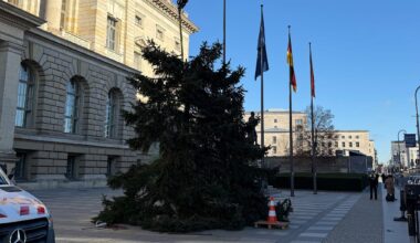 Weihnachtsbaum-Drama in Berlin: Blautanne bricht ab | Regional