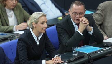 INSA-Sonntagstrend: AfD zurück auf altem Rekordhoch | Politik