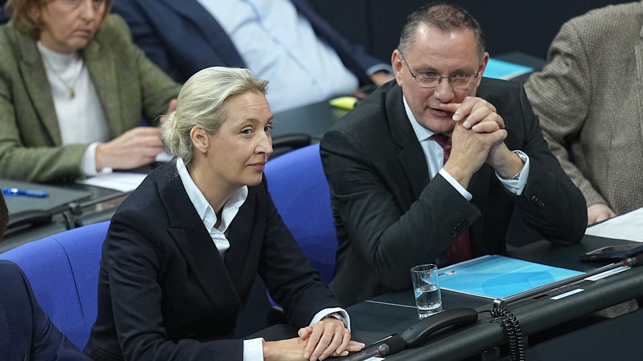 INSA-Sonntagstrend: AfD zurück auf altem Rekordhoch | Politik