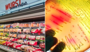 Verkauft in Berlin und Brandenburg: Wichtiger Wurst-Rückruf wegen Salmonellen