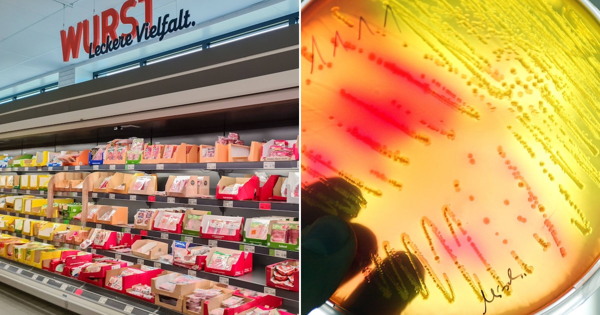 Verkauft in Berlin und Brandenburg: Wichtiger Wurst-Rückruf wegen Salmonellen