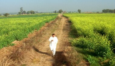 Dieses grandiose 3-Stunden-Epos läuft seit 30 (!) Jahren täglich in einem Kino – und hält damit einen Rekord! - Kino News