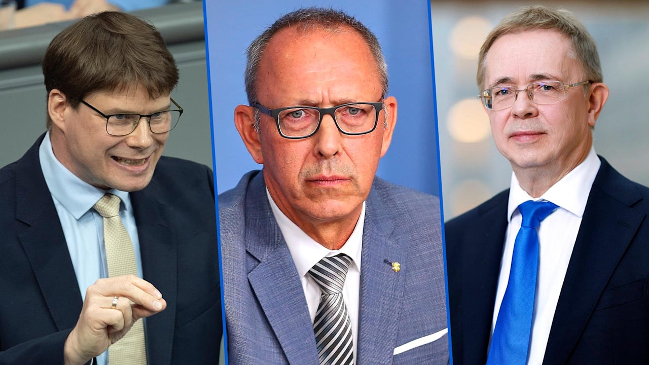 Russland-Reise: Was machen diese drei AfD-Männer in Putins Reich? | Politik