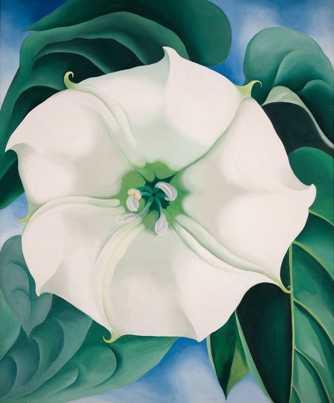 Mit ihrem Gemälde «Jimson Weed / White Flower No. 1» von 1932 hält Georgia O’Keeffe den bisherigen Weltrekord für ein versteigertes Werk einer Künstlerin.