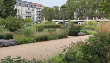Streit in Wiesbaden eskaliert: Polizei droht Mann mit Messer Taser-Einsatz an