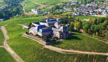 Rheingauer Weingut als zweitbestes der Welt ausgezeichnet
