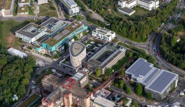 Tödliche Spinnenart im Keller entdeckt: In Deutschland | Regional