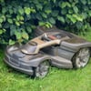 Neues Verbot: Wer gegen die Mähroboter-Regel verstößt, muss bis zu 50.000 Euro zahlen