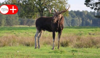 Neue Doku von Remscheider Filmemacher im Fernsehen