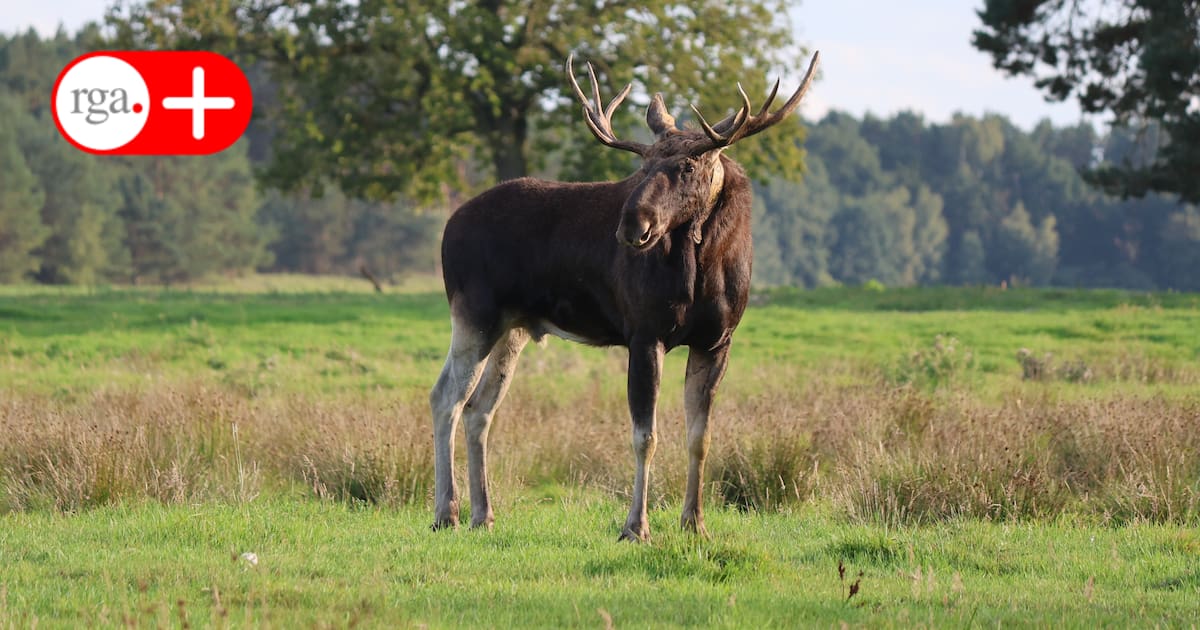 Neue Doku von Remscheider Filmemacher im Fernsehen