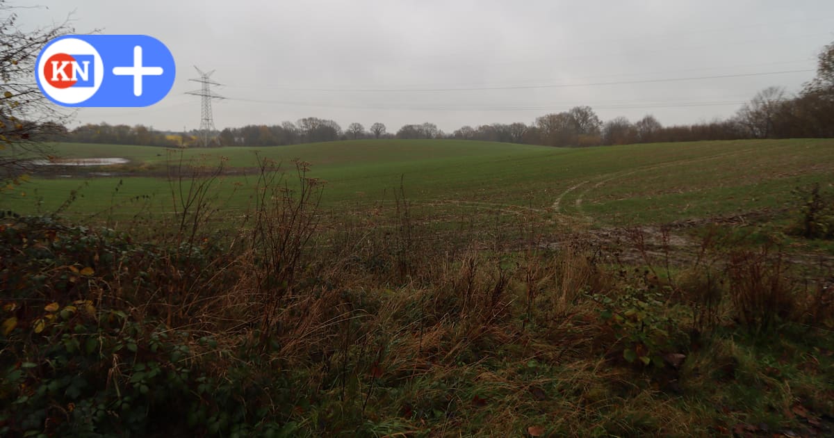 Große PV-Anlage vor den Toren Kiels? „In besonderem Maße geeignet“
