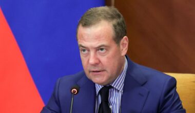 Nutzen für Propagandazwecke: Bericht: Medwedew drang auf weitere AfD-Besuche in Russland