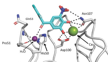 Parkinson-Medikament als Basis für neue Anti-Infektiva