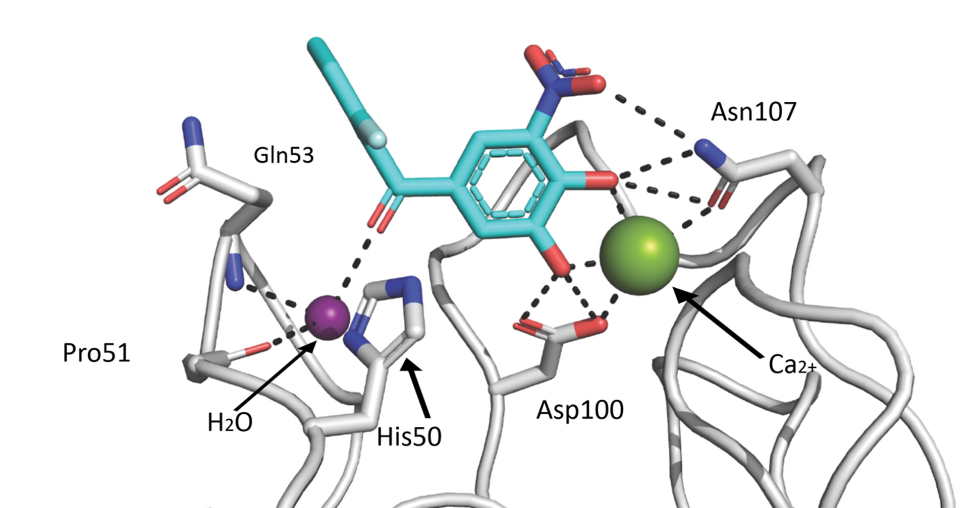 Parkinson-Medikament als Basis für neue Anti-Infektiva