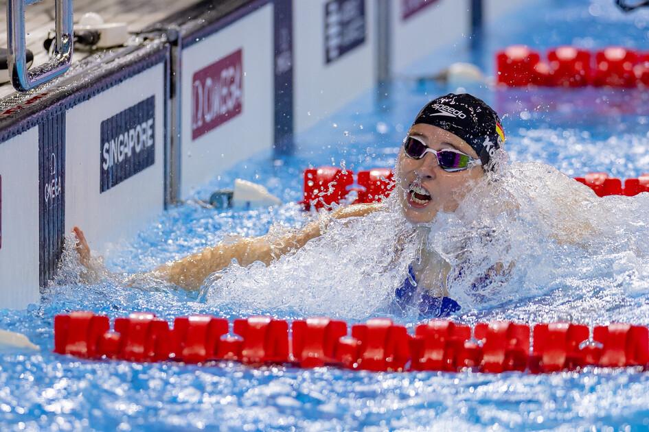 Aktuelle Meldungen - Aktuelles | DKM in Wuppertal: Das Meldeergebnis ist veröffentlicht