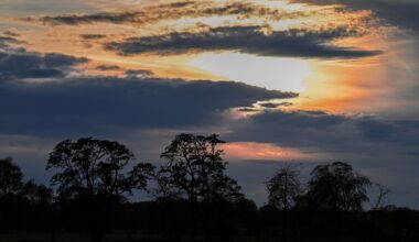Berlin & Brandenburg: Wochenende startet sonnig und mit bis zu 18 Grad