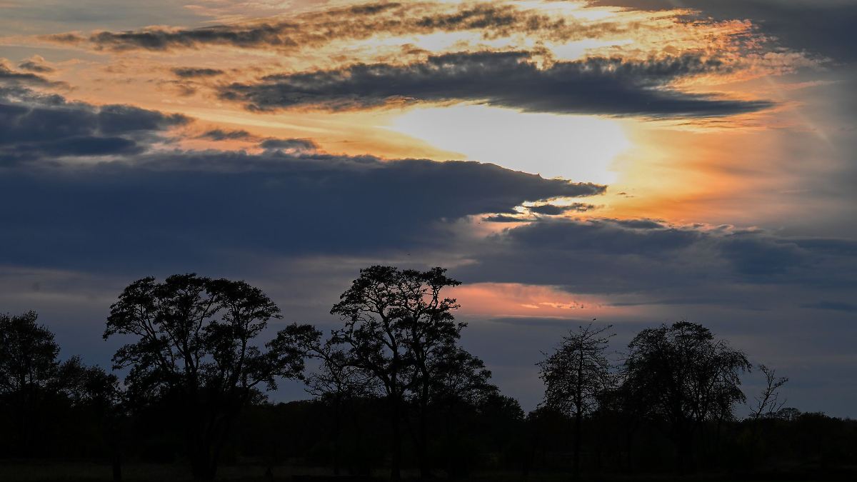 Berlin & Brandenburg: Wochenende startet sonnig und mit bis zu 18 Grad