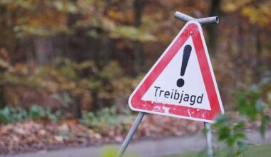 Niedersachsen & Bremen: Spaziergänger bei Treibjagd verletzt