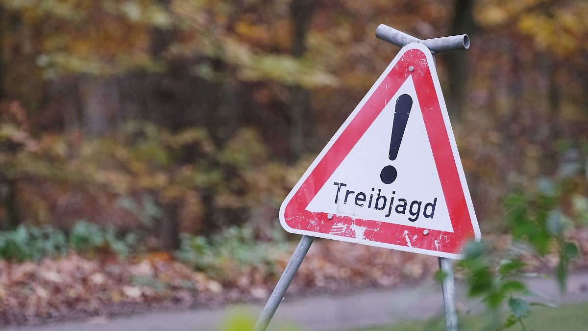 Niedersachsen & Bremen: Spaziergänger bei Treibjagd verletzt