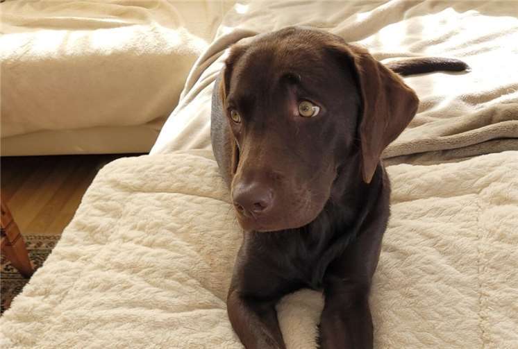 Berry (Koblenz), am 2. Juli 2024 geboren. 