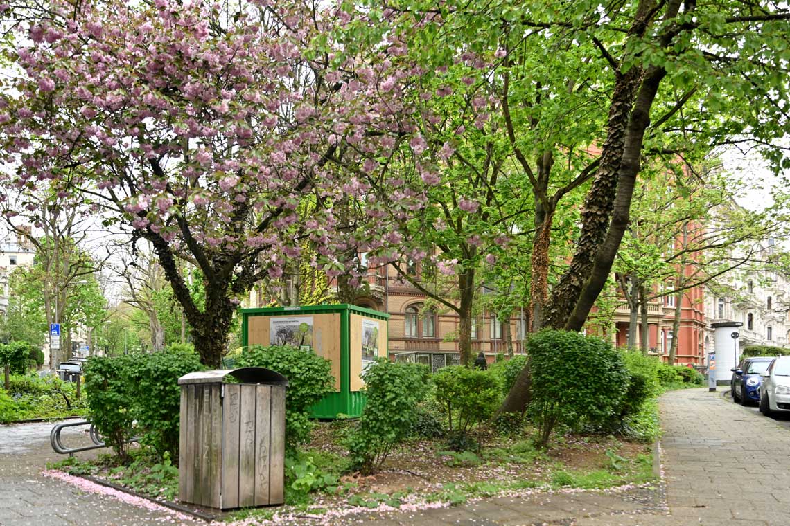 Bülowplatz: Wiesbaden öffnet den Kesselbach