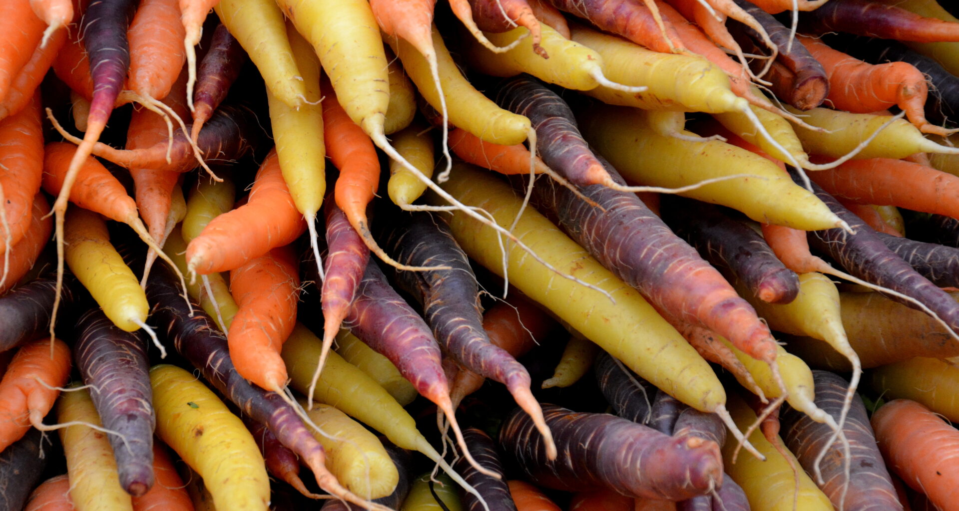 UK: Farbenfrohe Gemüsesorten legen bei Tesco stark zu