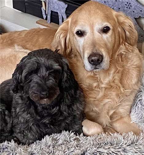 Candy und Mia (Bad Neuenahr). 