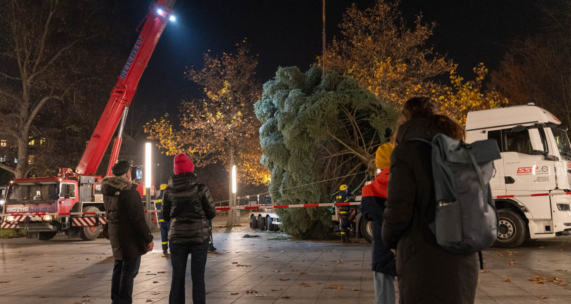Der Weihnachtsbaum für den Augustusmarkt ist da