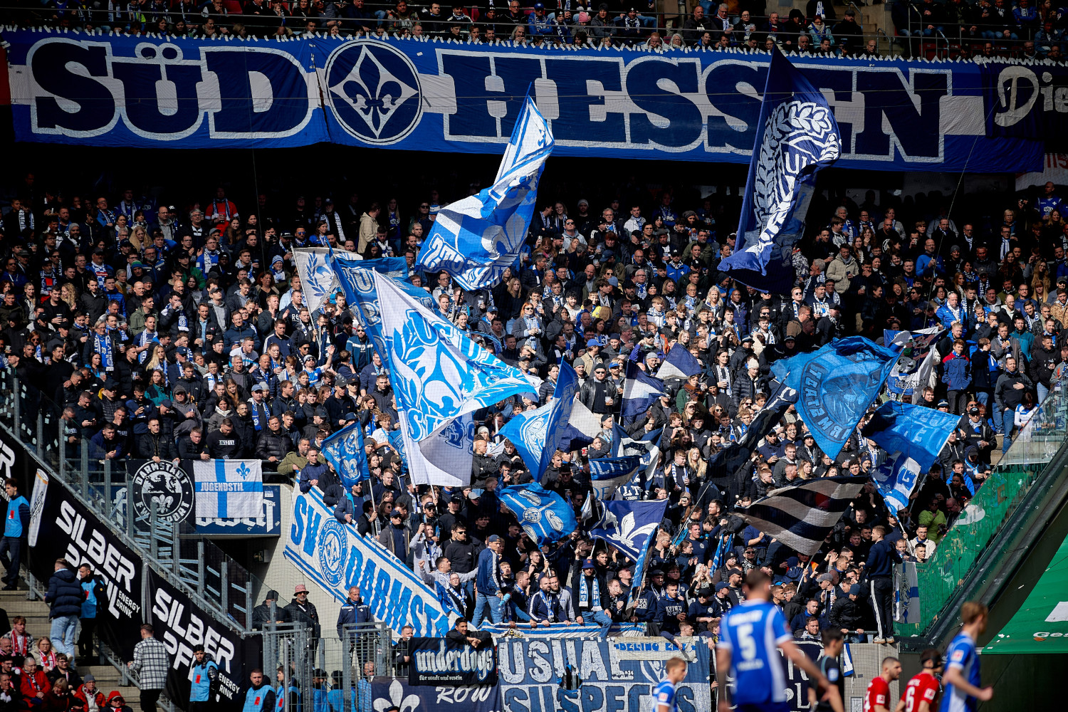 Darmstadt Fans