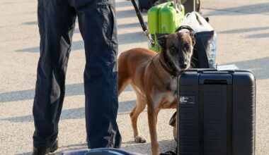 Sachsen: Mann droht mit Bombe und darf nicht mitfliegen