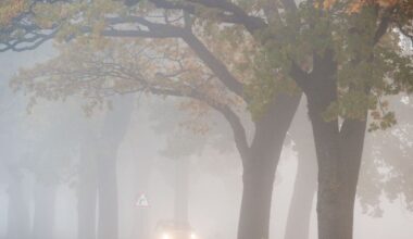 Berlin & Brandenburg: Nebel und Sonnenschein in Berlin und Brandenburg