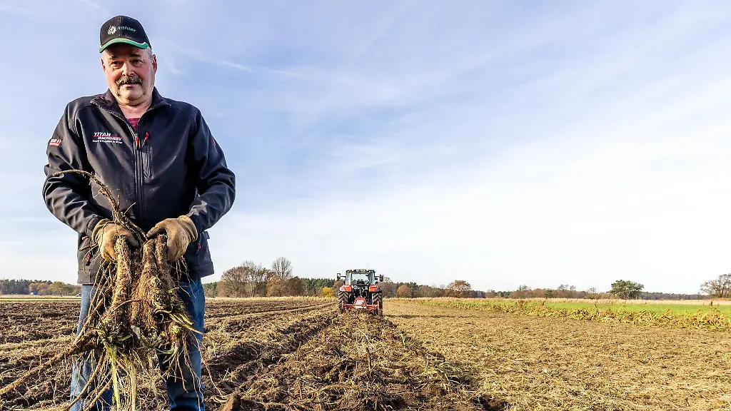 Der-Gemuesebauer-Dirk-Richter-erntet-Meerrettich