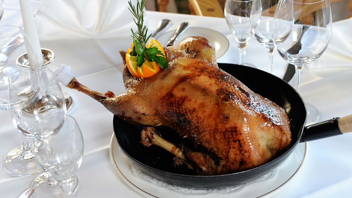 Berlin & Brandenburg: Martinsgans trotz Vogelgrippe gesichert