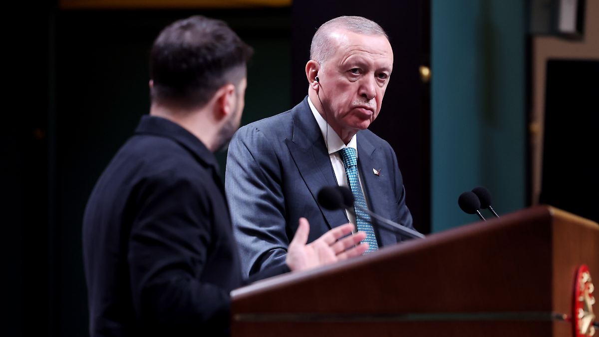 Istanbul-Diplomatie wiederbeleben: Erdogan drängt Selenskyj zu neuen Gesprächen mit Moskau