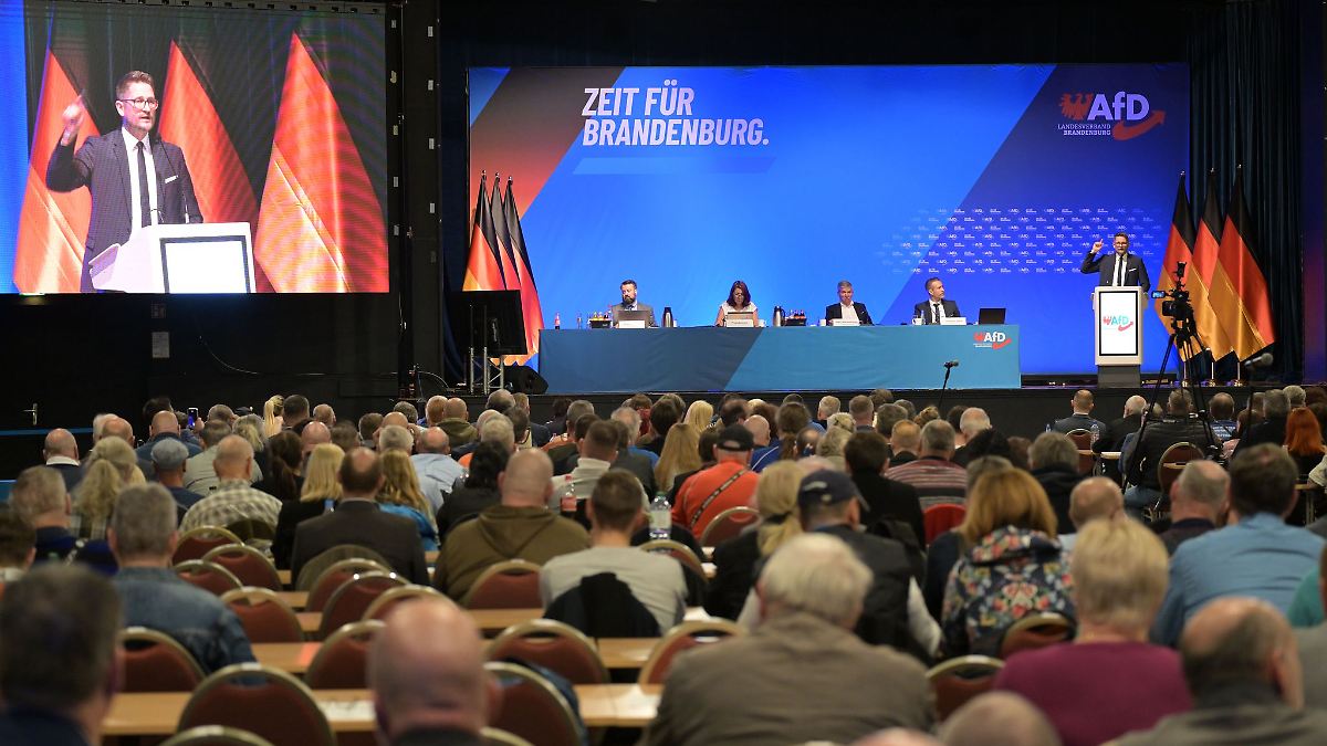 Berlin & Brandenburg: AfD Brandenburg lehnt Einführung von Delegiertenparteitag ab