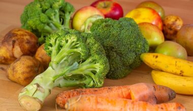 Berlin & Brandenburg: Ressourcen schonen: Zero-Waste-Aktionswochen beginnen