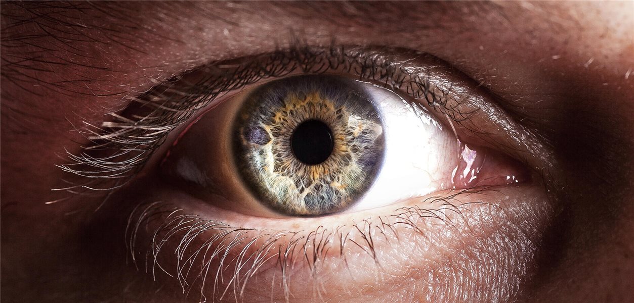 Wenn Adipositas und Fettleber auf Auge und Lunge schlagen