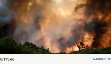 So weicht die EU ihre Klimaziele auf – DiePresse.com