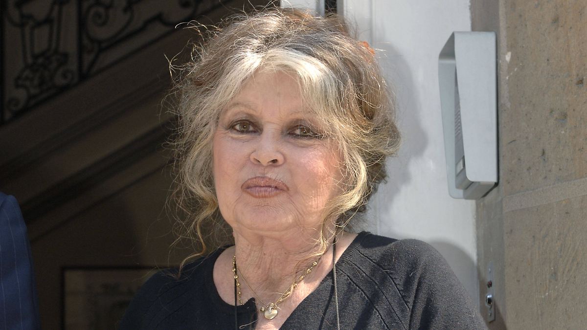 Zweiter Klinikaufenthalt: Brigitte Bardot soll erneut im Krankenhaus liegen