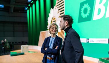 Was vom Grünen-Parteitag bleibt: Es grünt so grün im grauen Hannover